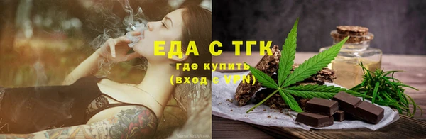 гашик Козловка