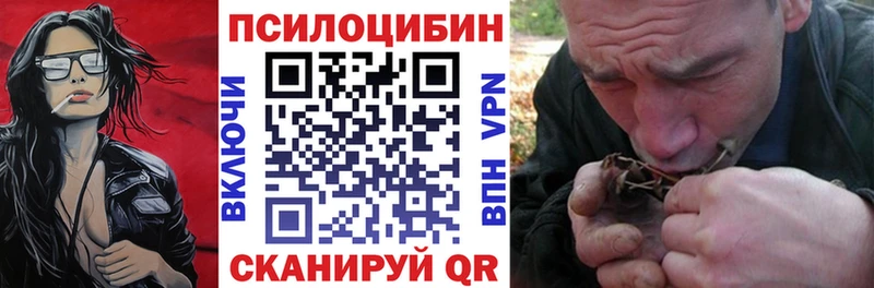 Псилоцибиновые грибы мицелий продажа наркотиков Тихорецк