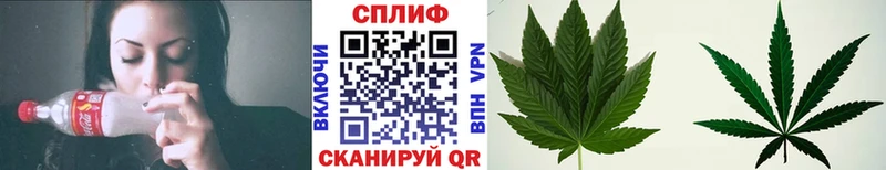 Канабис план  даркнет сайт  Тихорецк 